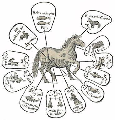Martin Arredondo Zodiac Horse